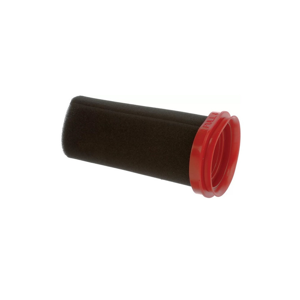 Micro-filtre pour aspirateur Bosch 12026520