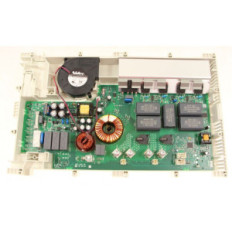 Module de puissance 813900047